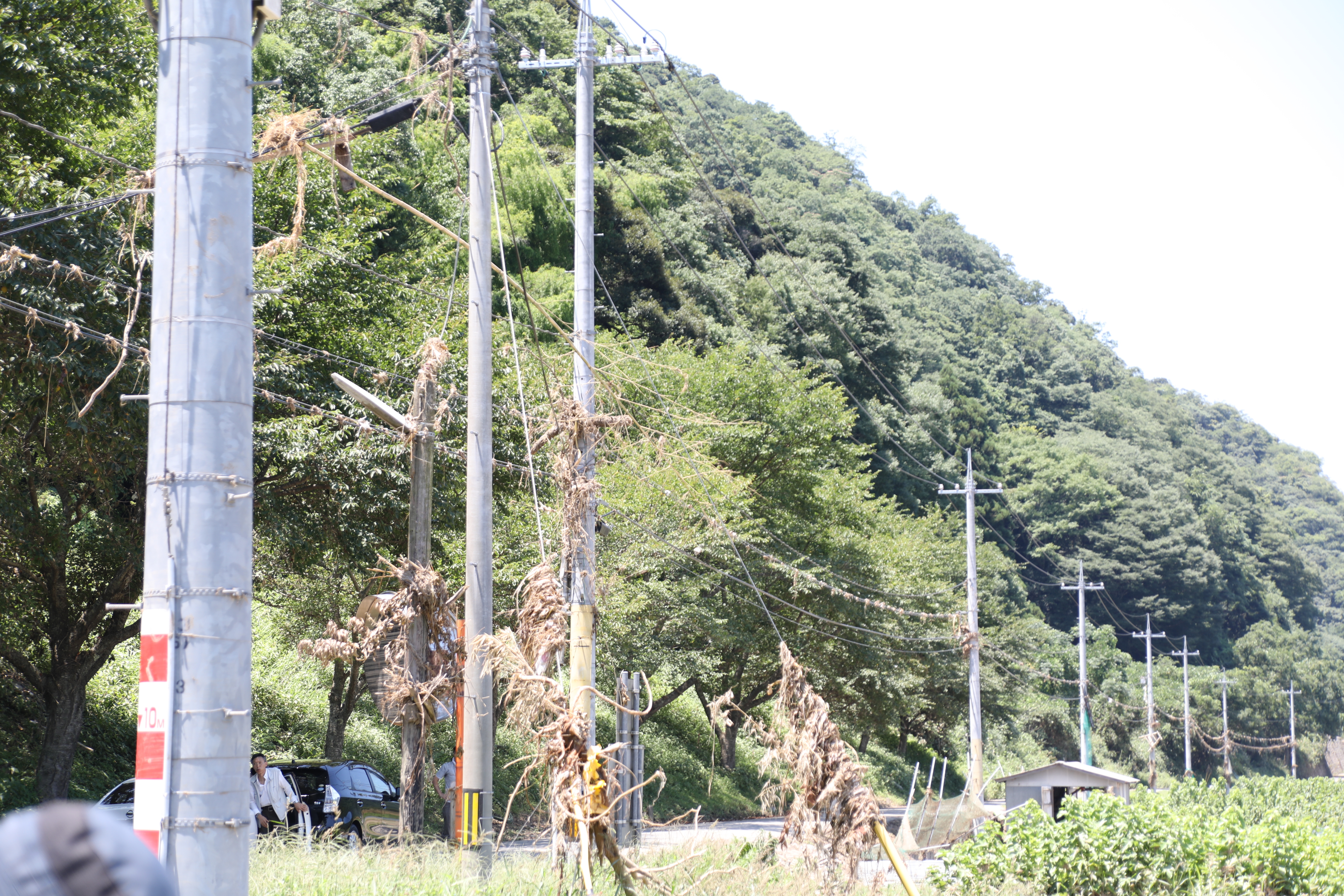 浸水時のゴミが引っ掛かったままの電柱や電話線